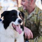 Dog sitting beside a soldier. Posting costs