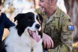 Dog sitting beside a soldier. Posting costs