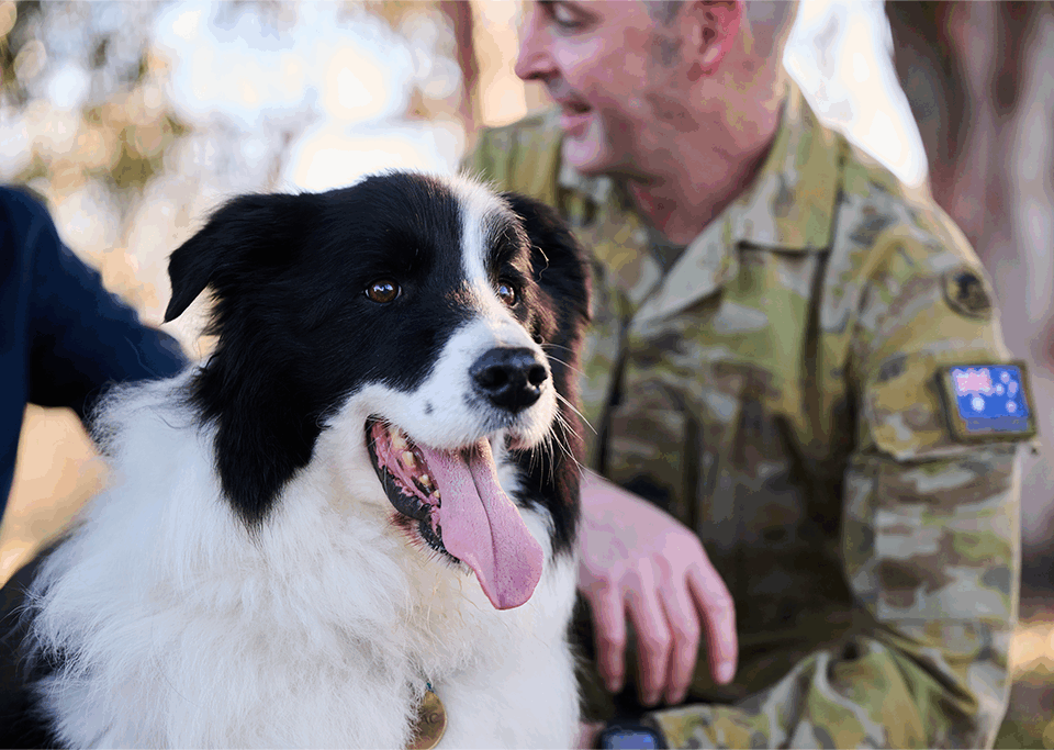Dog sitting beside a soldier. Posting costs